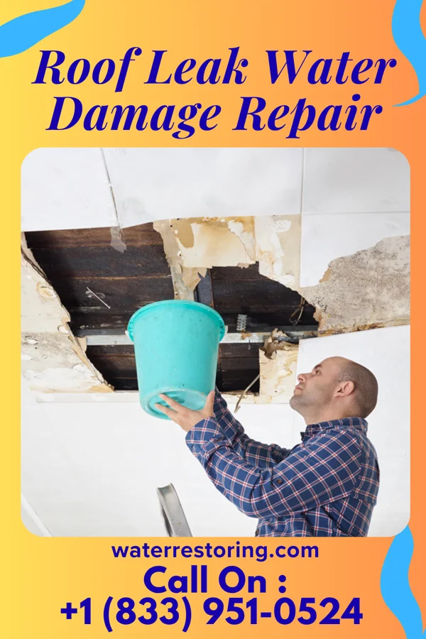Roof Leak Water Damage Repair in Manter, KS